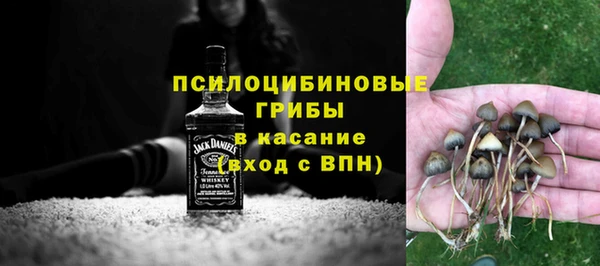 ECSTASY Кукмор