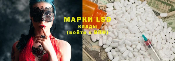 ECSTASY Кукмор