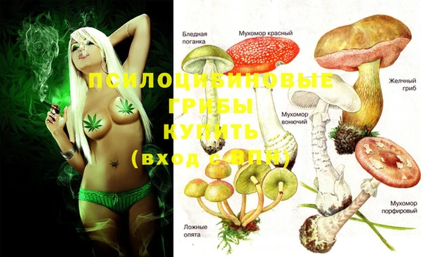ECSTASY Кукмор