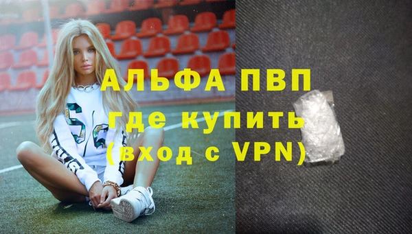 ECSTASY Кукмор