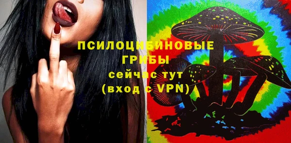 ECSTASY Кукмор
