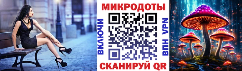 Галлюциногенные грибы Psilocybe Сланцы